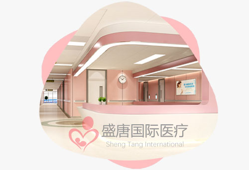 个性化助孕计划